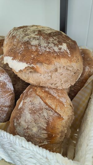 Pão saloio at Mr Portuguese Bakery in Faro