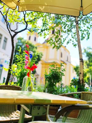  at die freunderlwirtschaft in Vienna