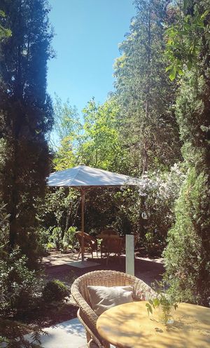  at Leaves in Ammerbuch