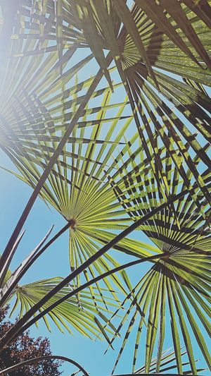  at Leaves in Ammerbuch