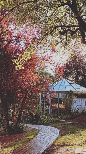  at Leaves in Ammerbuch