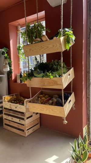 Fresh organic veggies  at Mercado Orgânico in Porto