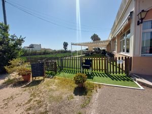 Outdoor seating area (wouldn't recommend in summer) at Arrocería El Rek in Valencia