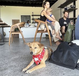 Dog friendly❤️  at Baguccino in Mengwi