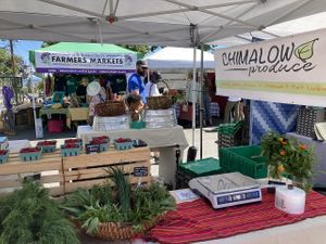 Vendor  at Port Townsend Farmers Market in Port Townsend