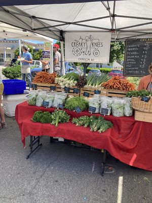 Vendor  at Port Townsend Farmers Market in Port Townsend