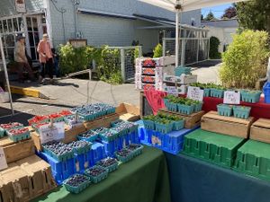Vendor  at Port Townsend Farmers Market in Port Townsend