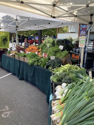 Vendor  at Port Townsend Farmers Market in Port Townsend