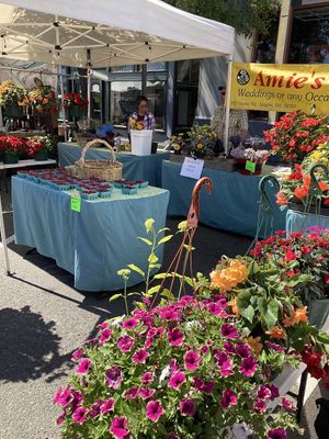 Vendor  at Port Townsend Farmers Market in Port Townsend
