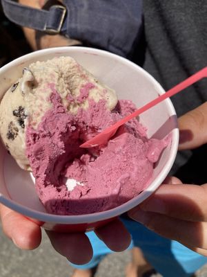 Dairy- free ice cream from Fiddlehead Creamery at Port Townsend Farmers Market in Port Townsend