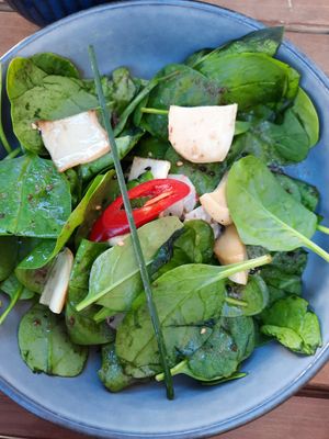 Spinat Salat at SOYO - Restaurant & Bar in Landshut