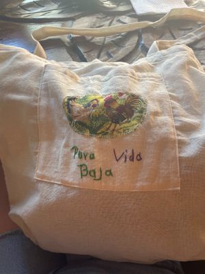 Tote purchased in store at Pura Vida in Todos Santos