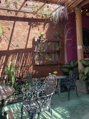  at Pura Vida in Todos Santos