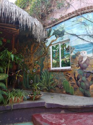  at Pura Vida in Todos Santos