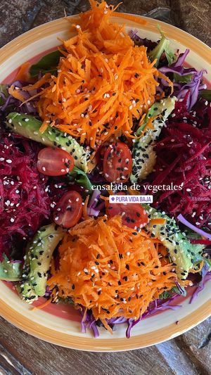   at Pura Vida in Todos Santos