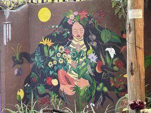   at Pura Vida in Todos Santos