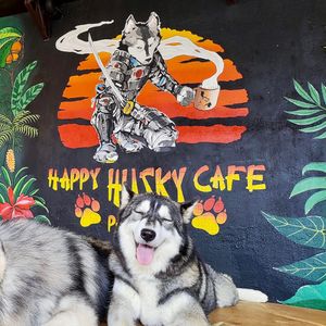  at Happy Husky Cafe in Puerto Princesa