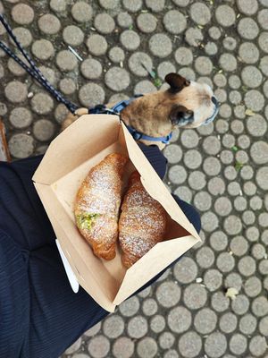 Schoko und Pistazie at Grey Kaffee in Vienna