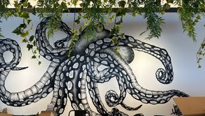  at Mollusca - Grocery Store in Vila Nova De Gaia