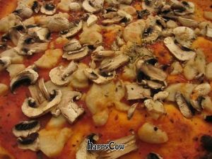 Mushroom Pizza (with vegan cheese brought along) at Michelangelo in Saarbrucken