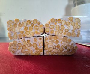 Homemade chickpeas tempeh at il Brucaliffo Cucina in Castiglione Dorcia