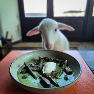  at il Brucaliffo Cucina in Castiglione Dorcia