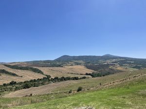   at il Brucaliffo Cucina in Castiglione Dorcia