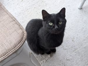  at Restorant 4 Stinet in Vlore