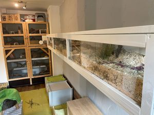  at Burg Nagezahn in Werneuchen