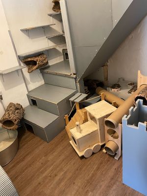  at Burg Nagezahn in Werneuchen