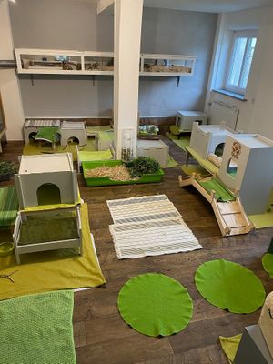  at Burg Nagezahn in Werneuchen