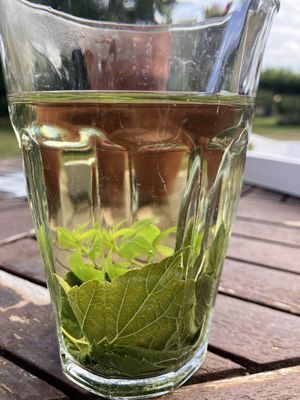 Thee van kruiden uit de tuin   at Zelfpluktuin Groenhof in Oosterend