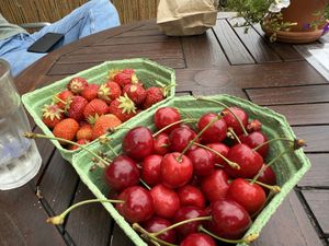   at Zelfpluktuin Groenhof in Oosterend