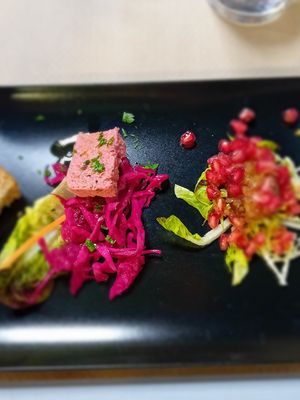 Starter at SAÓ in Elche