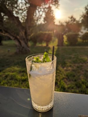  at Elaia Vegan Restaurant - Maybe Closed in Zakynthos