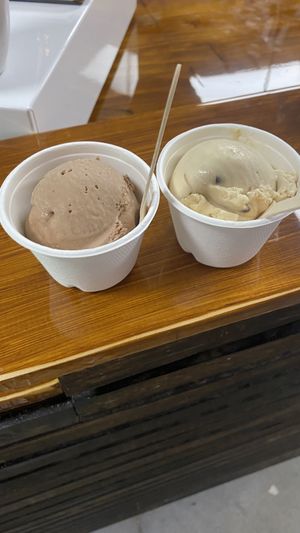 1 scoop in cup  at Plant Love Ice Cream  in Gulfport