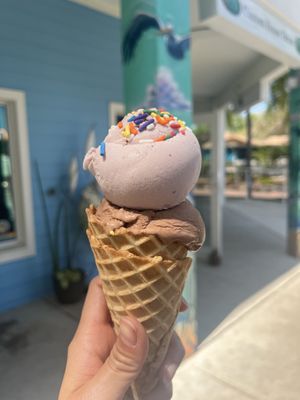   at Plant Love Ice Cream  in Gulfport