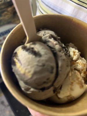 1 scoop cookies n cream, 1 scoop cookie butter  at Plant Love Ice Cream  in Gulfport