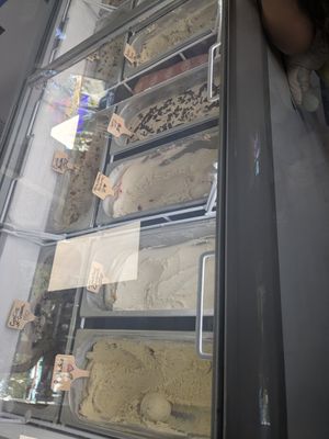  at Plant Love Ice Cream  in Gulfport