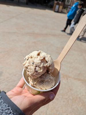Vegan ice cream 2 scoops at PortAventura World in Tarragona