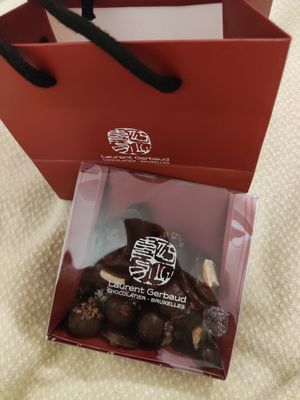 Vegan chocolates at Laurent Gerbaud Chocolatier in Brussels