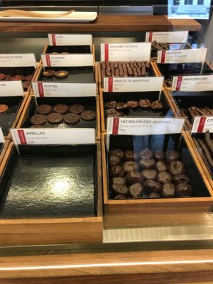 some vegan options  at Laurent Gerbaud Chocolatier in Brussels