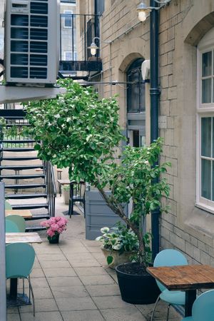  at Plant. Eat. Licious in Bath