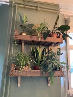 Such a welcoming friendly cafe!  at Plant. Eat. Licious in Bath