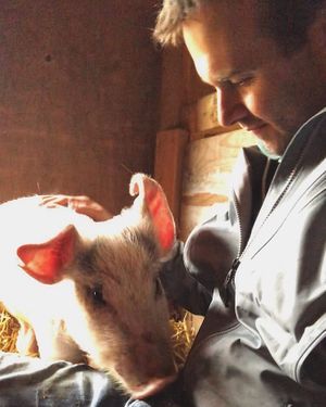 Esme at A Home for Hooves Farm Sanctuary in Duncan