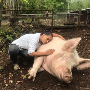 My handsome baby boy who has passed but forever in my heart.   at A Home for Hooves Farm Sanctuary in Duncan