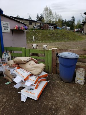  at A Home for Hooves Farm Sanctuary in Duncan