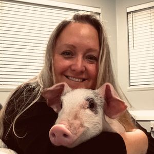 Me and Esme on the night before her spay surgery. What an incredible gift to have a piglet sleep in my arms all night. She is feisty and confident pig and I adore her.  at A Home for Hooves Farm Sanctuary in Duncan