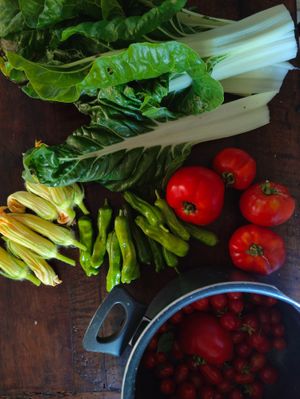 Veggies from our garden at Terra Mantra H(om)E Restaurant in Camogli