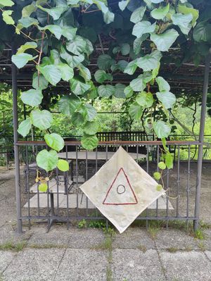 Our table under the Kiwi tree at Terra Mantra H(om)E Restaurant in Camogli